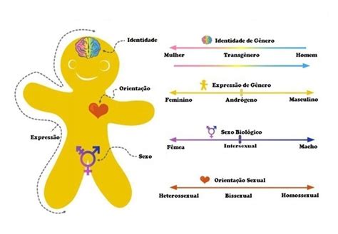 Identidade E Orienta O Sexual Apf