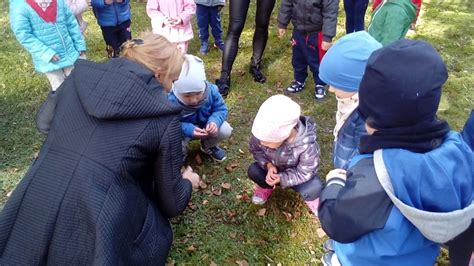 Sadzimy Krokusy Przedszkole W Drawsku Pomorskim