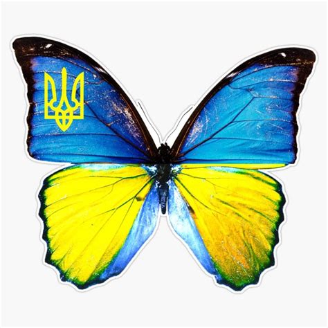 Ukraine Car Ukraine Flag Car Vinyl Decal Map Of Ukraine