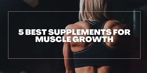 5 BEST SUPPLEMENTS FOR MUSCLE GROWTH – Boxed Off Lifestyle Ltd