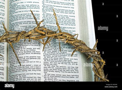 Easter Crown Of Thorns On Holy Bible Stock Photo Alamy