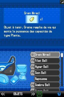 Screenshot de Pokemon Edición Blanca 2011 10 de 27