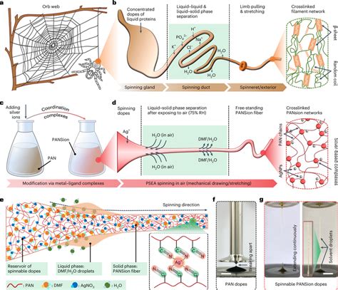 Bioinspired Psea Spinning Approach For Producing Functional Soft