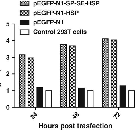 Real Time Rt Pcr Analysis Of Heat Shock Protein 27 Hsp27 Directed By