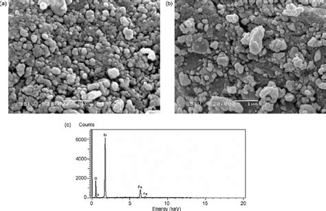 Sem Micrographs For A The Uncalcined Fe O Sio Precursor And