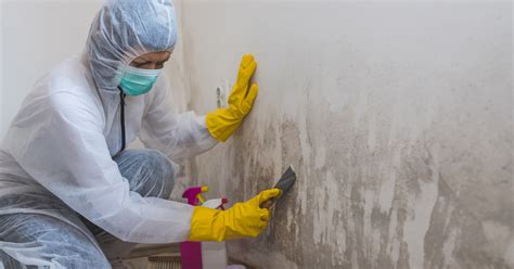 Wright Restorations Mold Removal In Toronto Ontario