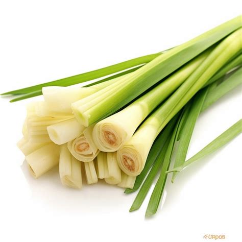 Premium Ai Image Closeup Fresh Lemongrass Sliced On White Background Lemongrass Isolated Into