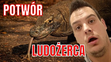 Indonezyjski SMOK Czyli Waran Z Komodo YouTube