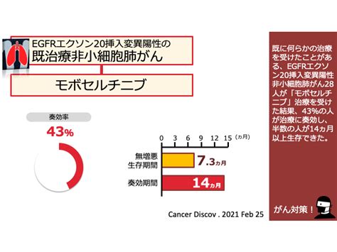 日本がん対策図鑑 【egfrエクソン20陽性肺がん：二次治療（orr）】モボセルチニブ