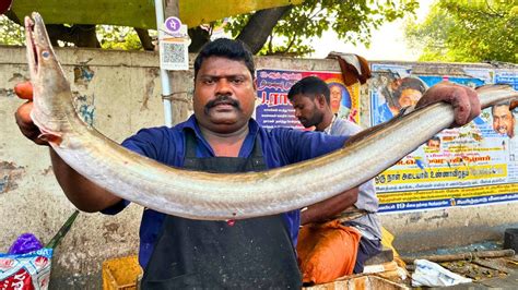 KASIMEDU SPEED SELVAM VERY RARE SEA SNAKEFISH CUTTING IN