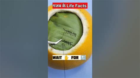 सबसे कमाल के Life Hacks 😲 Most Useful Life Hacks Most Amazing Facts