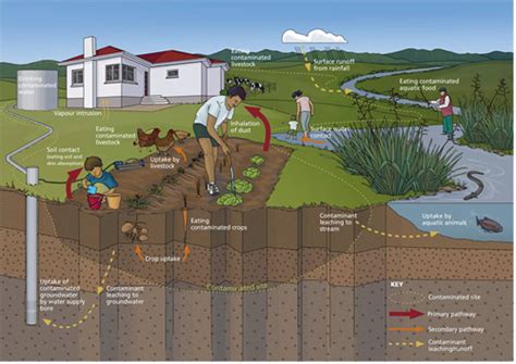 Contaminated Land Ministry For The Environment