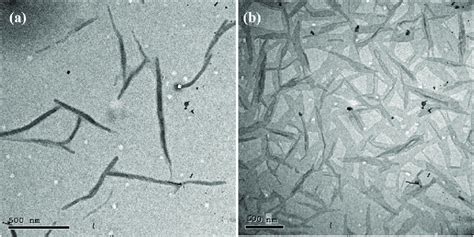 Tem Of Rhmcm 41ars A The Prepared Bio Sorbent Is Rod Like Shape