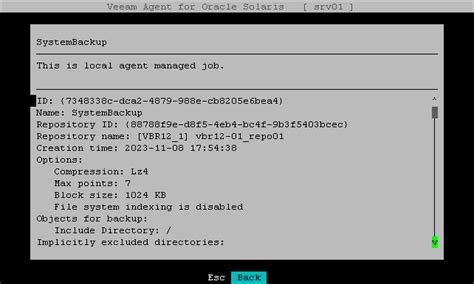 Viewing Backup Job Settings Veeam Agent For Oracle Solaris User Guide