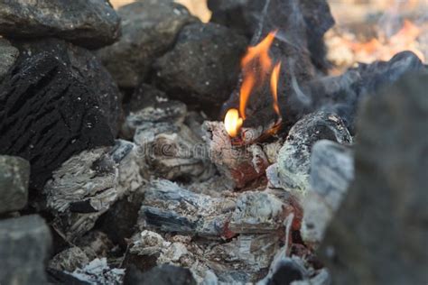 Embers Ashes In The Barbecue Hot Burning Coals Stock Photo Image Of Chimney Grid