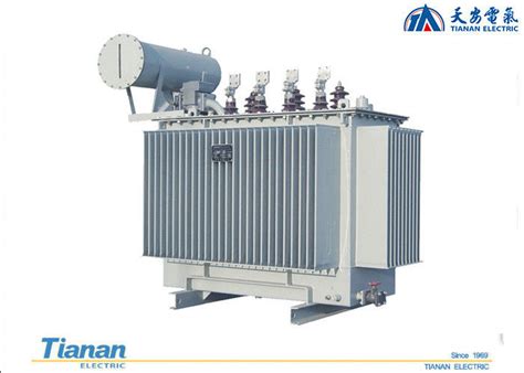 10 35 KV Yağlı Dağıtım Transformatörü 20 KV Üç Fazlı Bakır Sargı