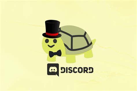 How To Add And Use Turtle Bot On Discord Techcult