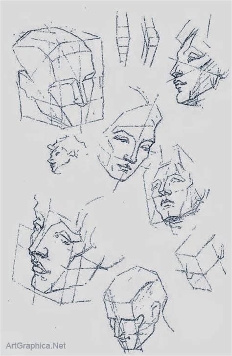 Reference Fiesta Drawing The Human Head Anatomy Art Bridgman