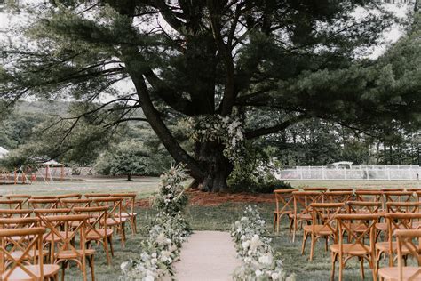 Romantic Wedding Ceremony Under A Large Oak Tree Natural And Beautiful