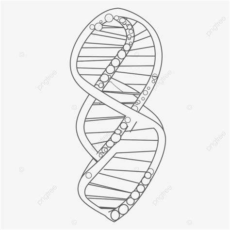 Dna Coloring Page With A Dna Outline Sketch Drawing Vector Dna