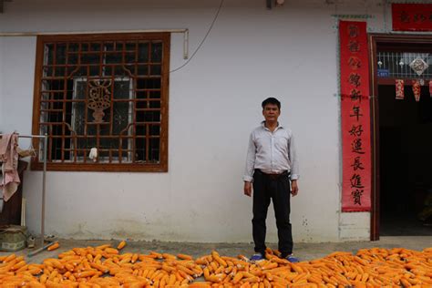 院士情怀 小桥圆梦——广西大学桥梁调研团赴广西河池天峨县六排镇纳洞村茅以升公益桥 院士桥开展实地调研 广西大学新闻与传播学院