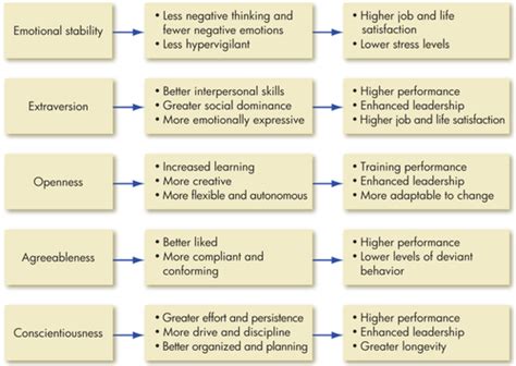 Wgu C Organizational Behavior And Leadership Flashcards Quizlet