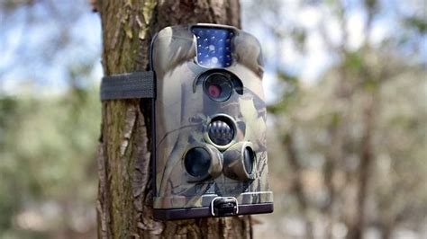 Spy Cameras In Trees Rocks And Even Logs