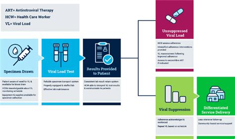 The Hiv Viral Load Utilization Cascade Download Scientific Diagram