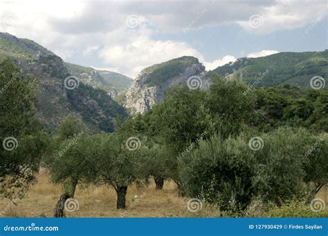 Heaven In The Mount Ida Turkey Stock Image Image Of Quiet Paradise