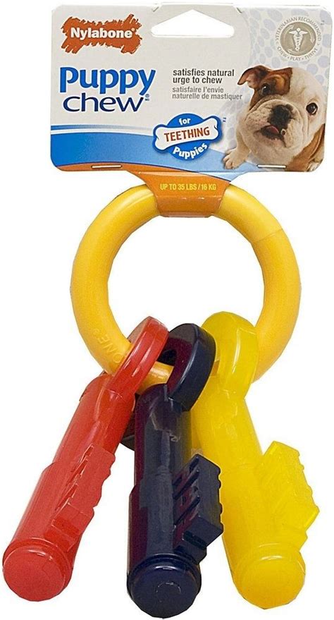 Nylabone Puppy Teething Chew Keys Petflow Puppy Teething Puppy