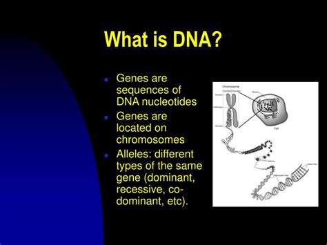 Ppt Forensic Dna Analysis Powerpoint Presentation Free Download Id6151620