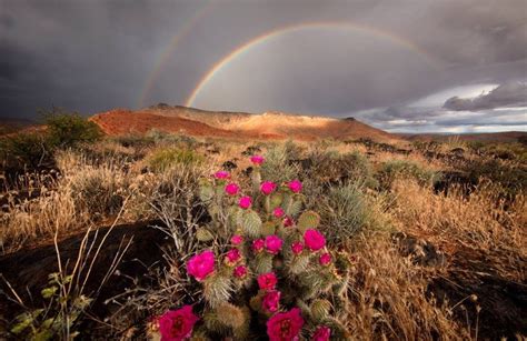 Desert Rainbow | RJ Hooper Photography