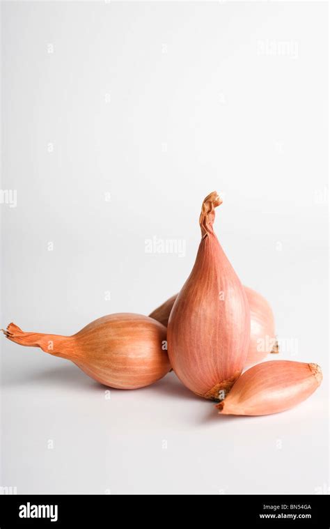 Images Of Shallots Hi Res Stock Photography And Images Alamy