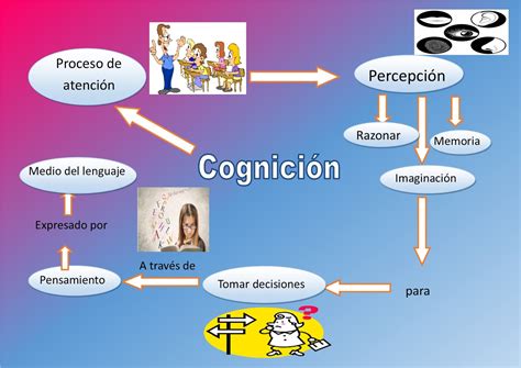 Desarrollo Cognitivo Del Niño Unidad 2 Evidencia 1