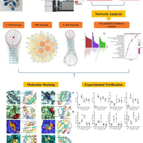 The Fragmentation Pattern Of Auraptene A Ginkgolide A B And