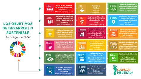 Conoce El Objetivo De Desarrollo Sostenible Para Combatir El Cambio