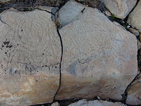 Lock Up Your Petroglyphs Heddon On The Wall Local History Society