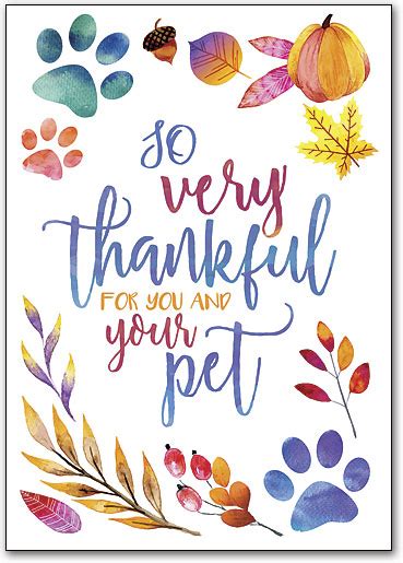 Thankful Paws Postcard Smartpractice Veterinary