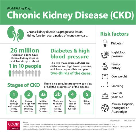 To Your Kidneys Health Urology