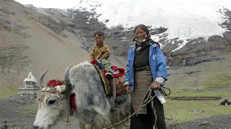 Un Gen Ancestral Permite A Los Tibetanos Vivir Con Menos Ox Geno