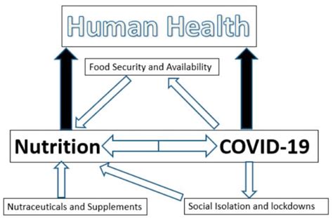 Nutrients Free Full Text The Impact Of Nutrition On The Covid 19