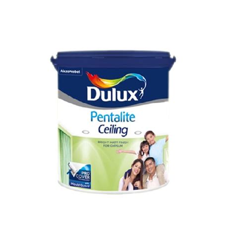 Dulux Pentalite Ceiling Super Ceramic