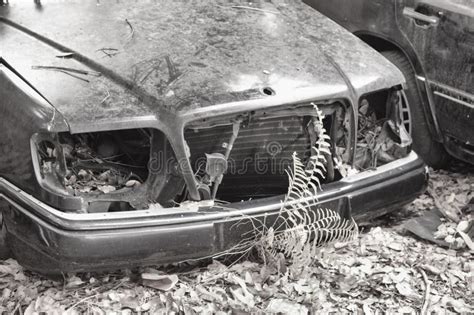 Unrecognizable and Wrecked Cars Beyond Repair Left at the Isolated Junk Yard. Stock Photo ...