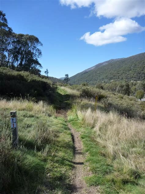 Bridle Trail Loop Walking Track