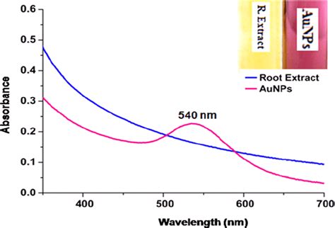 Uvvis Absorption Spectra Of Aunps Synthesised By Root Extract Of M Dioica Download