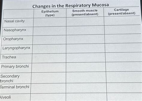 Solved Nasal Cavity Nasopharynx Oropharynx Laryngopharynx Chegg