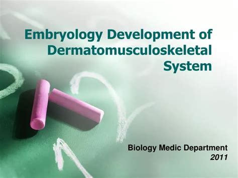 Ppt Embryology Development Of Dermatomusculoskeletal System