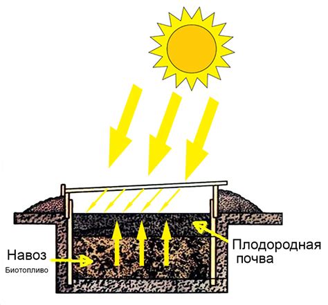 Что такое парник и для чего он нужен