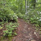 Hot Springs To Tanyard Gap Via Appalachian Trail North Carolina 340