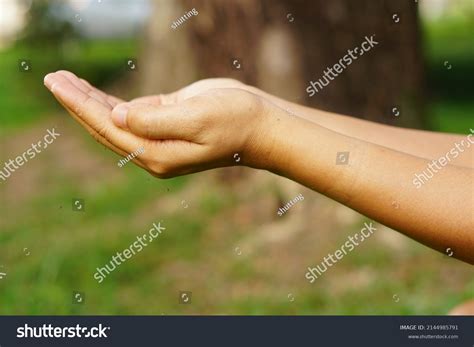 woman extending  hand front stock photo  shutterstock